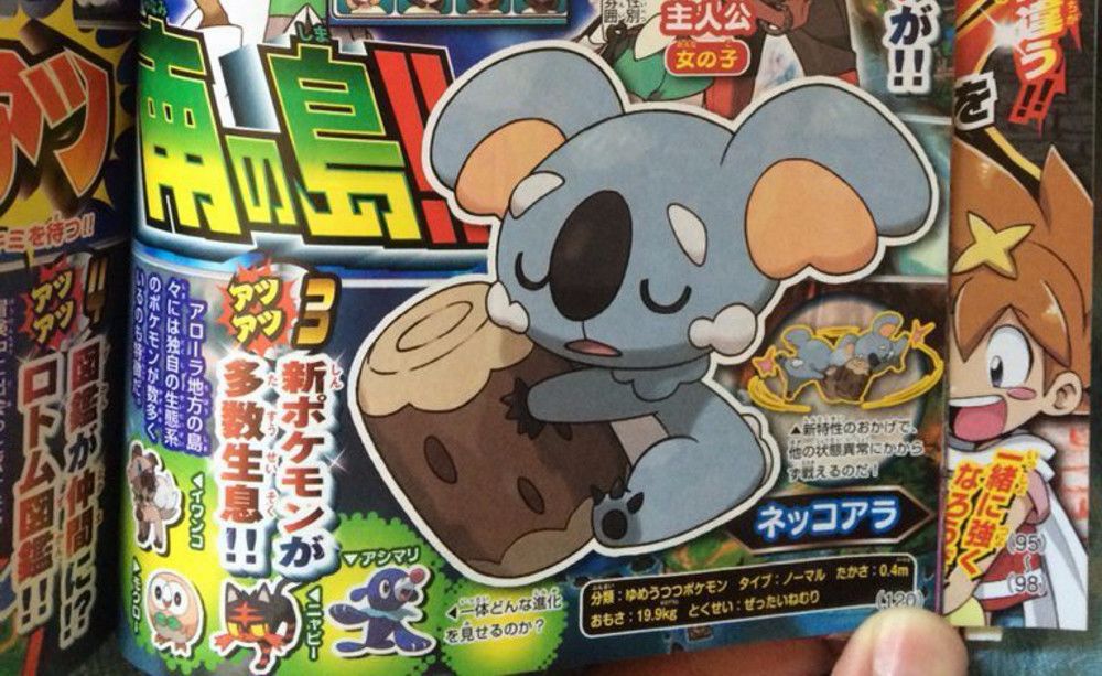 pokemon sun moon nekkoala.jpg